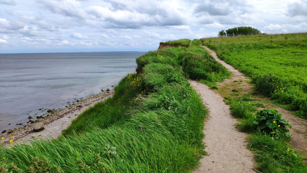 Steilküste Schönhagen von oben Wanderweg Sommer