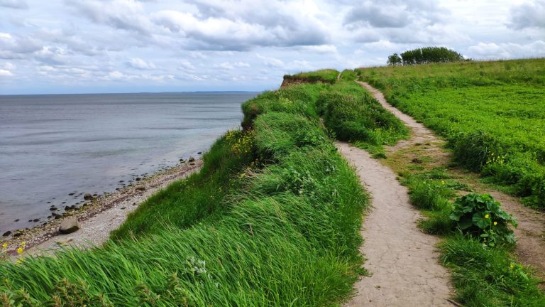 Steilküste Schönhagen von oben Wanderweg Sommer