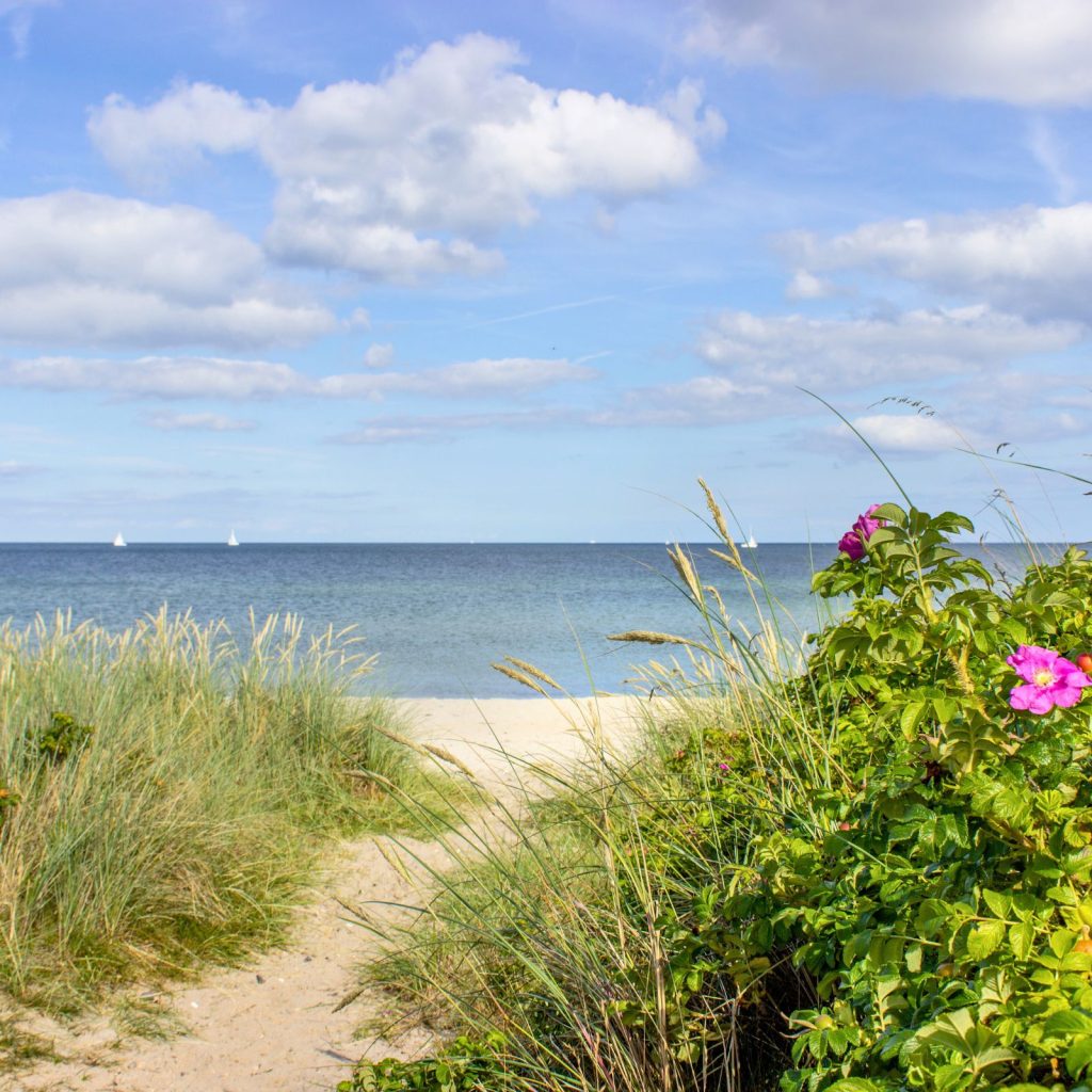 Weidefelder Hundestrand im Frühling / Sommer