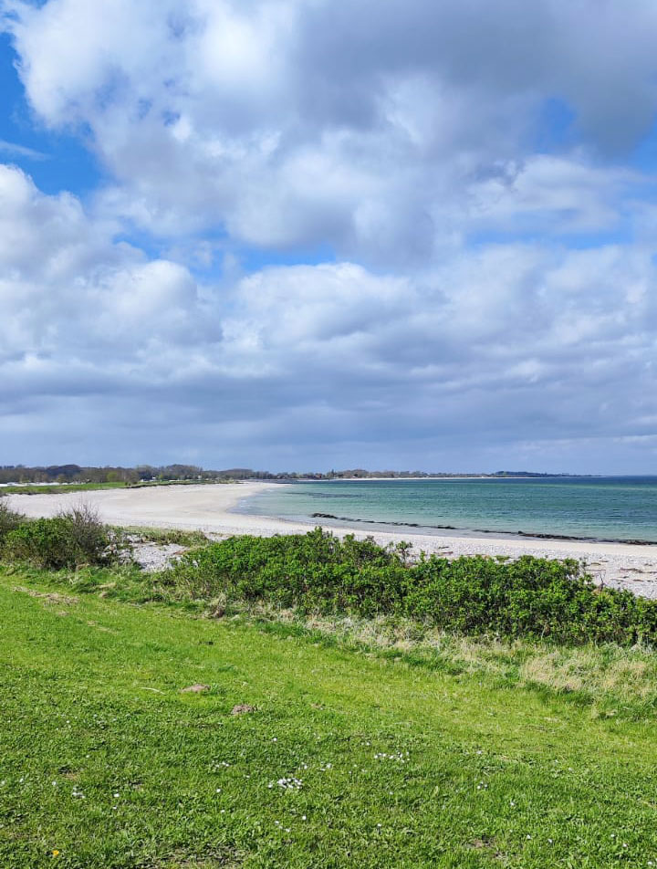 Strand Maasholm Hundestrand Maasholm