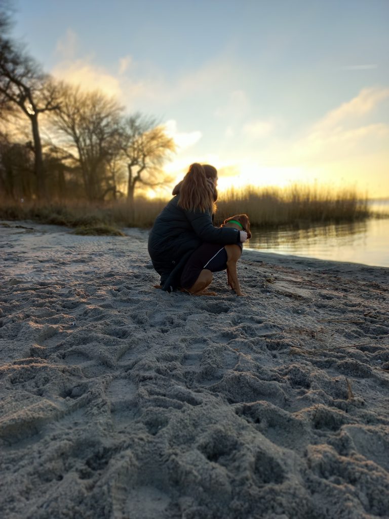 Hund Sonnenuntergang Strand