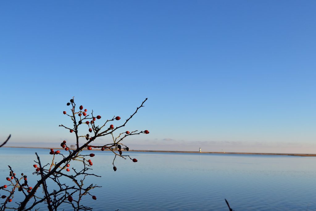 Winter Dezember Olpenitz Blick auf Schleimünde Schnee an der Ostsee lohnt sich olpenitz im winter?