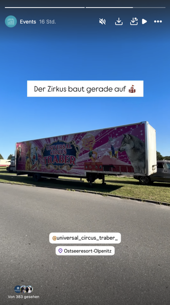 Zirkus Traber baut auf