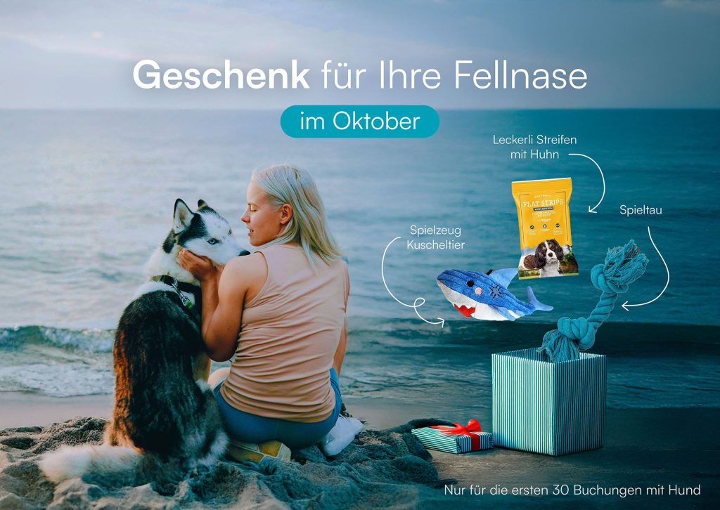 Meerzeit für Ferien im Ostseeresort Olpenitz Hundegeschenk im Oktober
