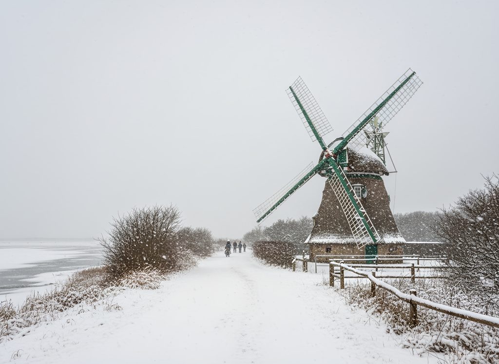 Winterwanderung im Naturschutzgebiet Geltinger Birk (Wildpferde & Leuchtturm)